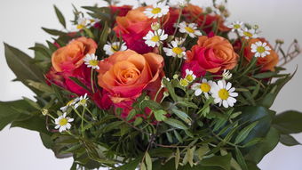 世界上排名前十最香的花,世界上最香的花排名第一