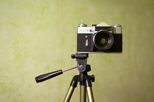 2020专业单反性能排行榜,专业单反十大排名