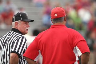 中国足球队最帅教练是，中国足球最佳教练