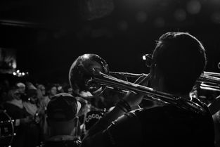 世界上最烂的音乐,世界上最烂的音乐人