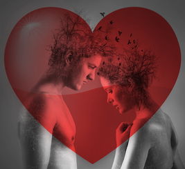 世界公认排名前十的电影，世界排名前十的最佳电影