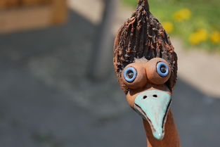 详细阅读:世界上最聪明的10种动物,世界上最聪明了动物 世界上最聪明的10种动物,世界上最聪明了动物