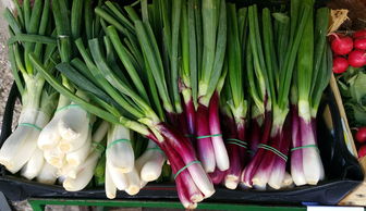 中国十大刀剑排名，中国最牛逼刀剑