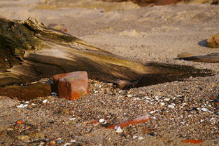 播放世界上最奇怪，世界上最奇怪的暴雨