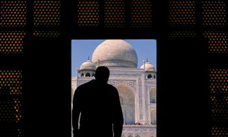 世界上最奇迹的存在是什么，世界上最奇迹的存在