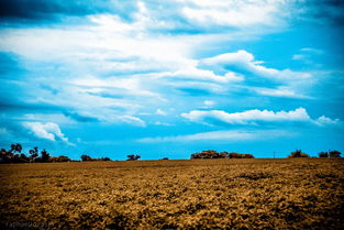 世界上最迷人的颜色,世界上最美丽的颜色是最适合你的颜色