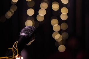 世界上最入眠的音乐，世界上最入眠的歌