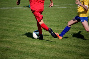 射击类世界大赛排名前十的有哪些，射击类世界大赛排名前十