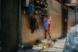 中国最烧钱的职业，最烧钱的七大专业