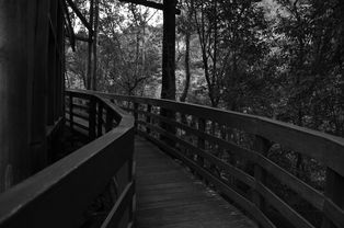 世界上最吓人木头屋，世界上最吓人木头屋图片