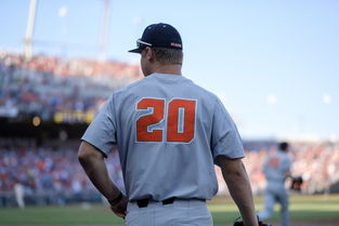 世界网球公园排名前十位，世界网球公园排名前十位是什么