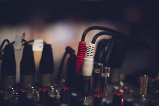 中国最独特嗓音，独特嗓音的中国乐队