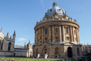 中国考大学最高分的人，考上中国最牛大学