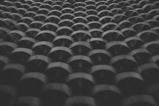 中国最抽象的长相，长得抽象的明星