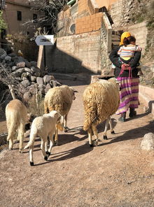 中国最牛偏科，偏科最厉害的人