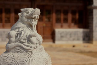 中国醒狮衣服，中国最靓醒狮