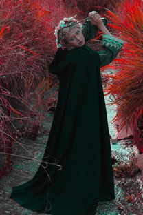 世界高分动漫，全世界高质量动漫排名前十