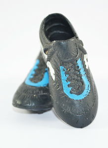 国产足球鞋十大排名图片，国产足球鞋十大排名