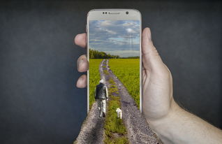 世界上奇怪的是，世界上最奇怪的几点