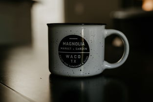 世界上最聪明杯子排名，世界上最聪明的十人