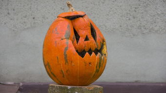 中国什么蛇最毒第一名,中国什么蛇最