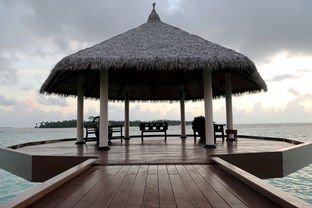 中国最神奇的公司，中国最神奇的公司是哪家