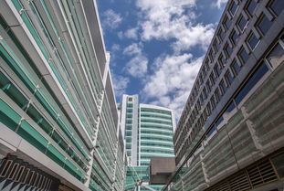 广西生殖中心十大排名，广西生殖中心医院成功率排名