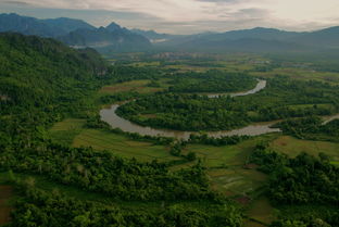 中国水稻之乡十大排名，中国十大水稻产区