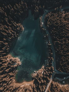 世界上令人惊讶的事,世界上最惊叹的景象