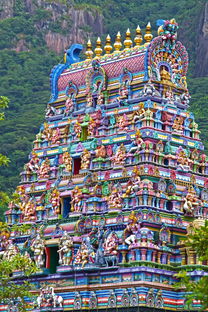 三十个世界之最，世界上最加三十