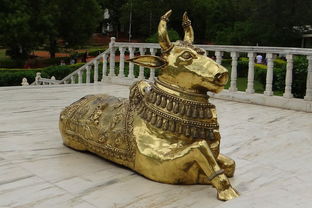 中国最牛跳绳人排名,中国最牛跳绳人