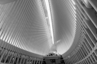 世界上最环保的商场，世界上最环保的商场是什么