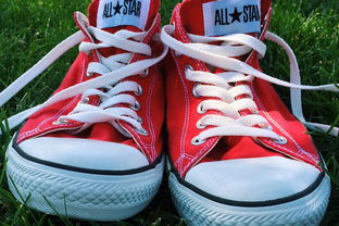 中童鞋子品牌十大排名,中童运动鞋哪个牌子好又便宜