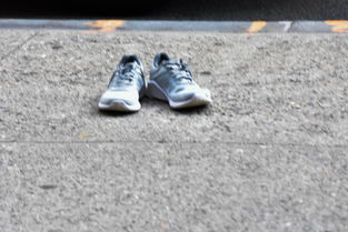 中童鞋子品牌十大排名,中童运动鞋哪个牌子好又便宜