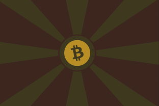 中国数字货币最,中国数字货币最好的公司