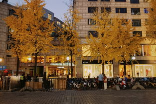 杭州中国最发达城市，杭州哪个城市最发达