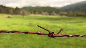 世界上最细的铁丝,最细的铁丝是多大的