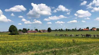 世界农场赚钱软件，世界上最赚钱农场