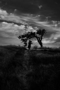 世界最珍贵摄影师排名前十,世界十大最昂贵的摄影作品