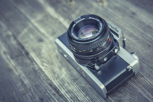 世界镜片排名前十，世界十大名牌镜片排行榜