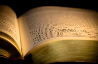 佛教十大世界，世界佛教书籍排名榜前十