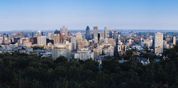 中国最开放的城市排名,中国那城市最开放