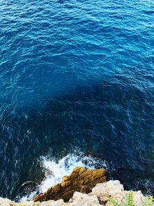 世界海洋世界排名前十,十大海洋世界