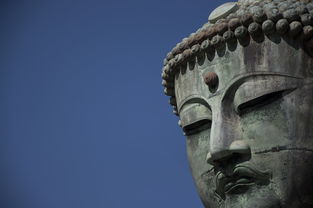 世界上最高巨人的身高是多少，世界上最巨人的人