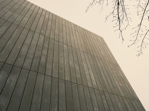 中国最便宜的材料，中国最便宜的金属