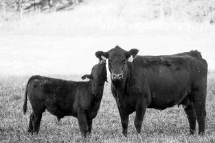 世界上最牛b的英雄，世界上最牛英雄排名