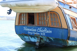 世界上最棒的房车,世界上最花哨的房车视频