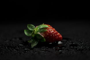 野果泡酒十大排名，野生果泡酒叫什么果