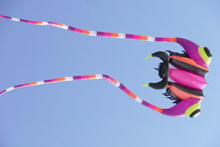 大型洗车水枪十大排名品牌，大型洗车水枪十大排名