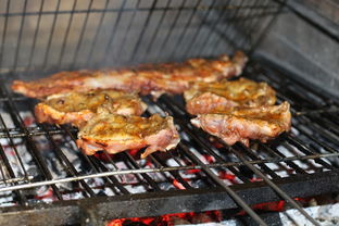 58同城莱芜烧烤_莱芜自助烧烤_莱芜户外烧烤配送，莱芜烧烤十大排名电话号